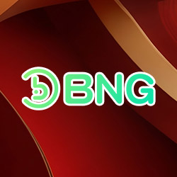 BNG 電子